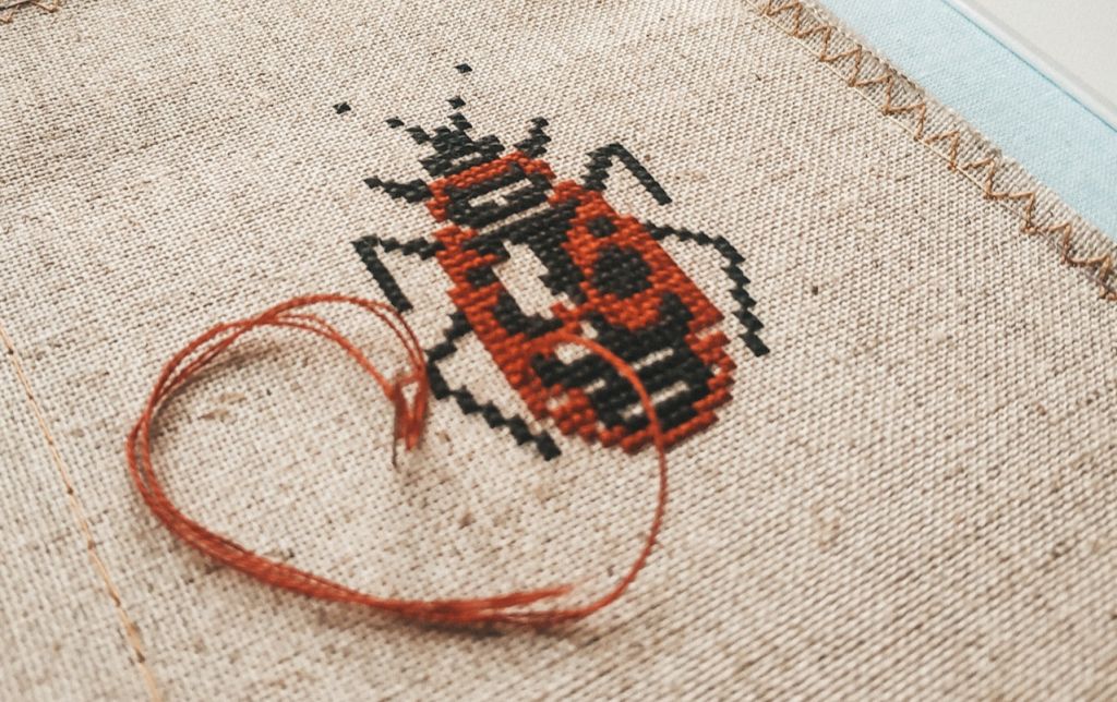 How To Get Rid Of Carpet Beetles Floor Techie